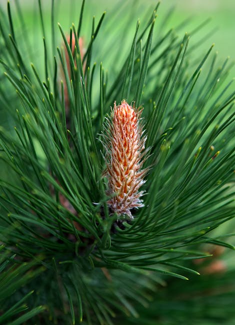 Latest seasonal fashion collection